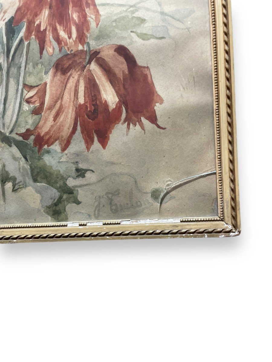 Pair Of Large Watercolors Flowers By J. Toulon-photo-3
