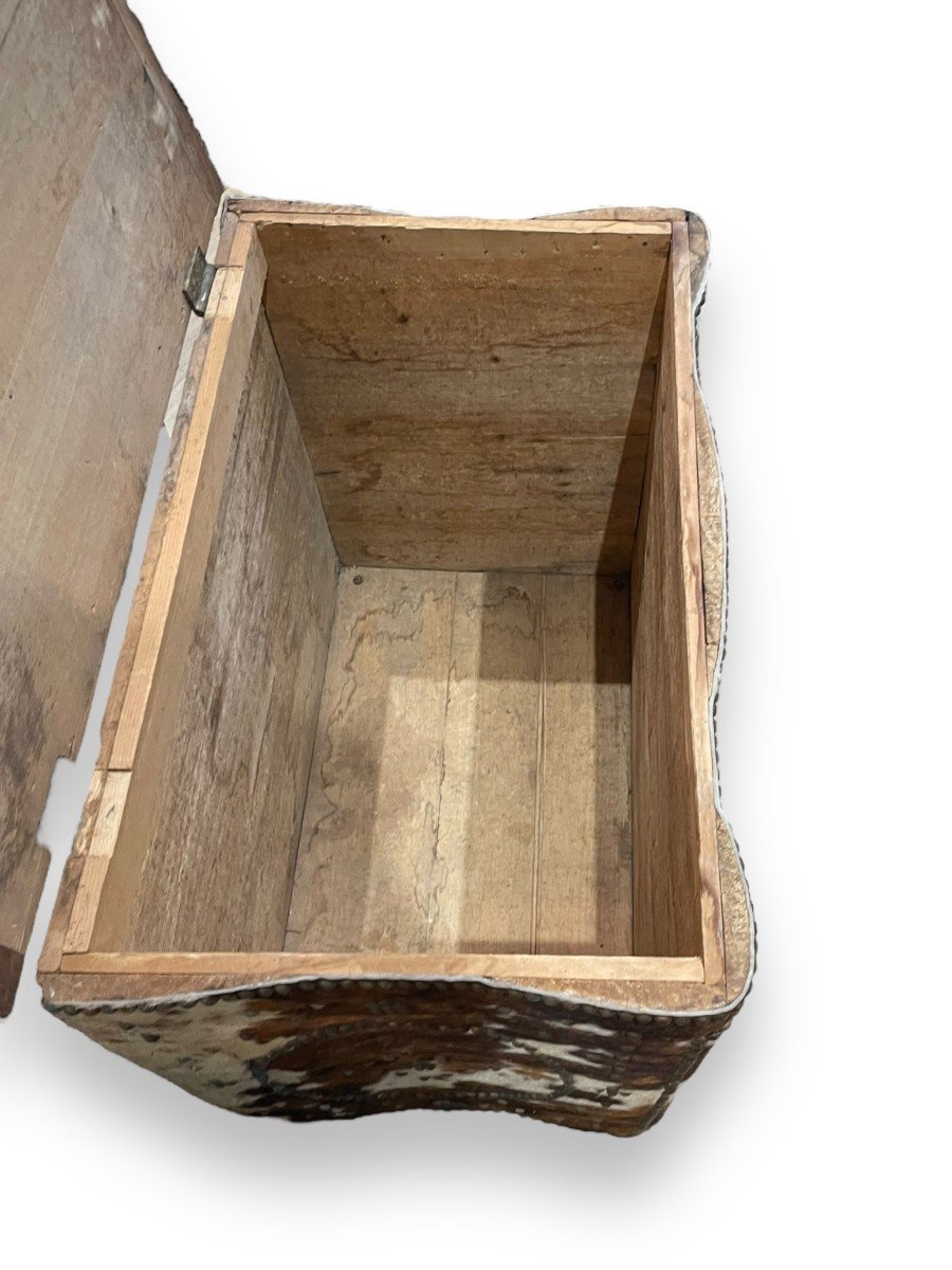 Important Pine Chest Lined With Cowhide-photo-1