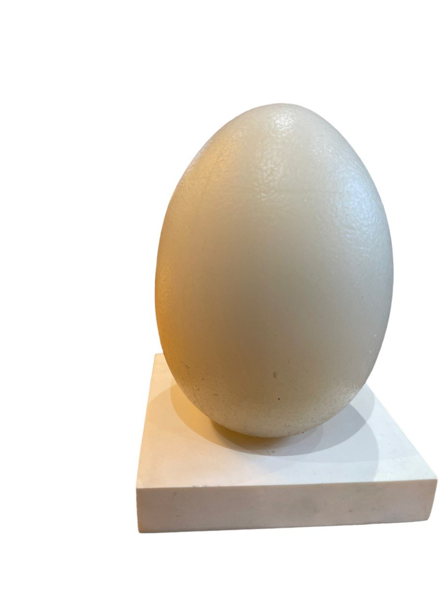Lampe Moderniste Oeuf-photo-3