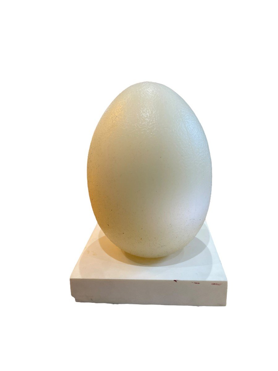 Lampe Moderniste Oeuf-photo-7