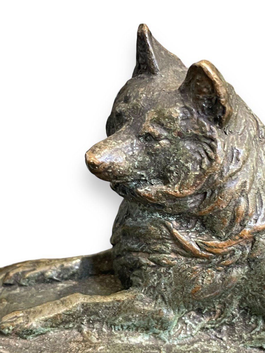 Bronze Dog Sculpture Signed E. Frémiet 19th Century-photo-3