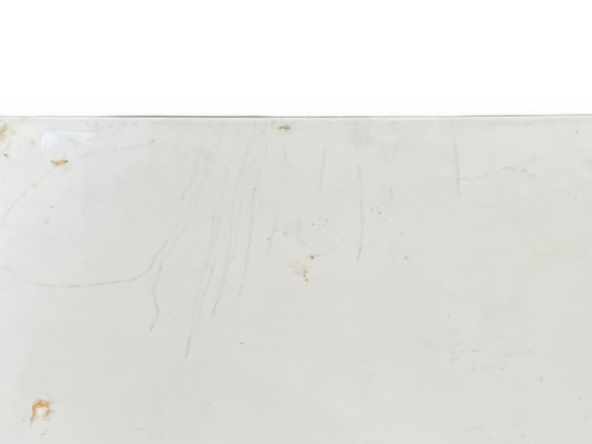 Plaque En Porcelaine Peinte époque XIXeme Oiseaux Au Bord De l'Eau-photo-4