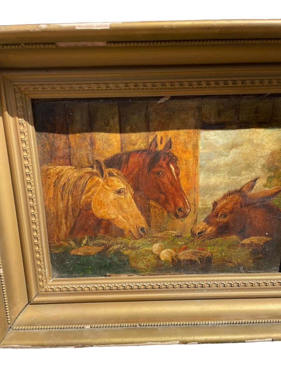 Ecole Anglaise XIXeme âne Et Chevaux Dans Une étable-photo-2