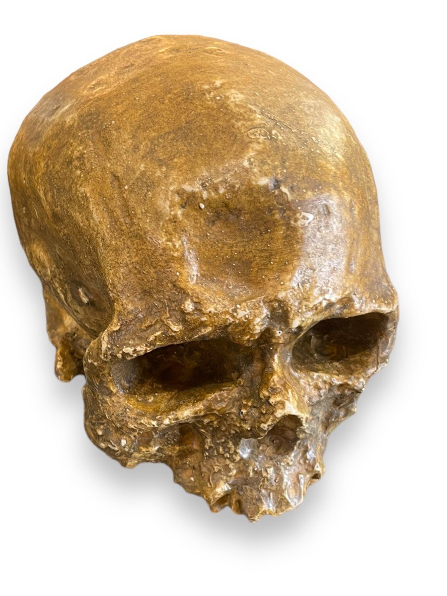 Life Size Skull Vanity Theater Decor-photo-2
