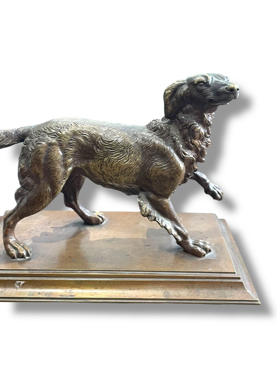 Chien Epagneul sculpture bronze d'après PAUTROT-photo-8