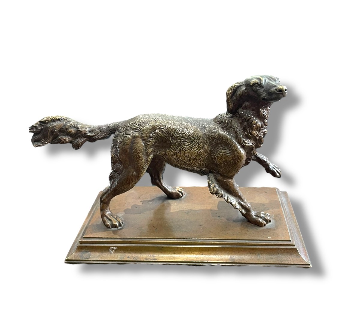 Chien Epagneul sculpture bronze d'après PAUTROT