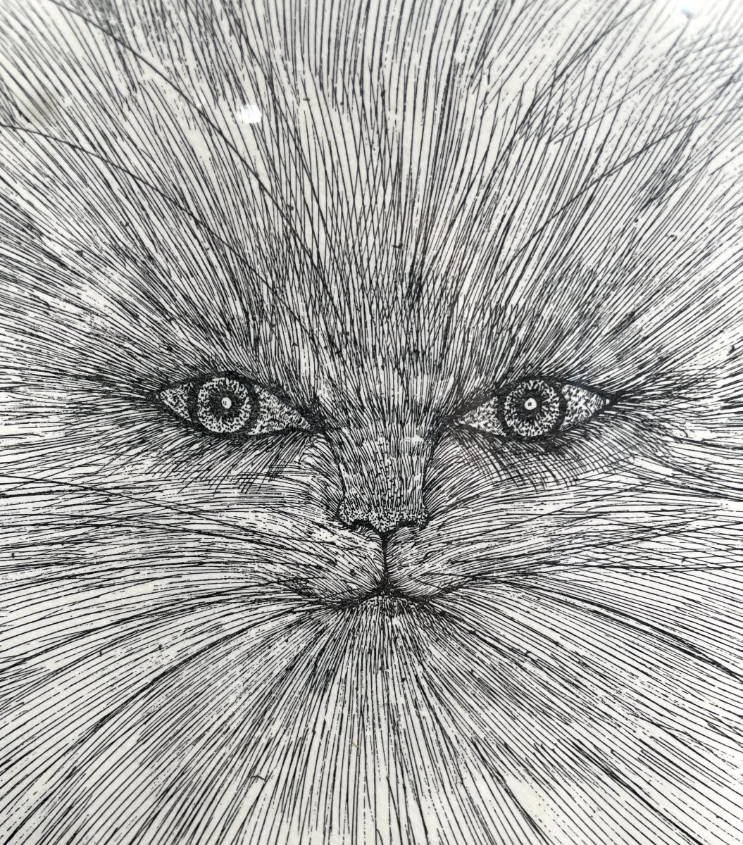 Chat encre sur papier Enrico COLOMBOTTO ROSSO-photo-2