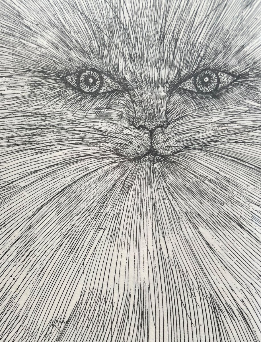 Chat encre sur papier Enrico COLOMBOTTO ROSSO-photo-3