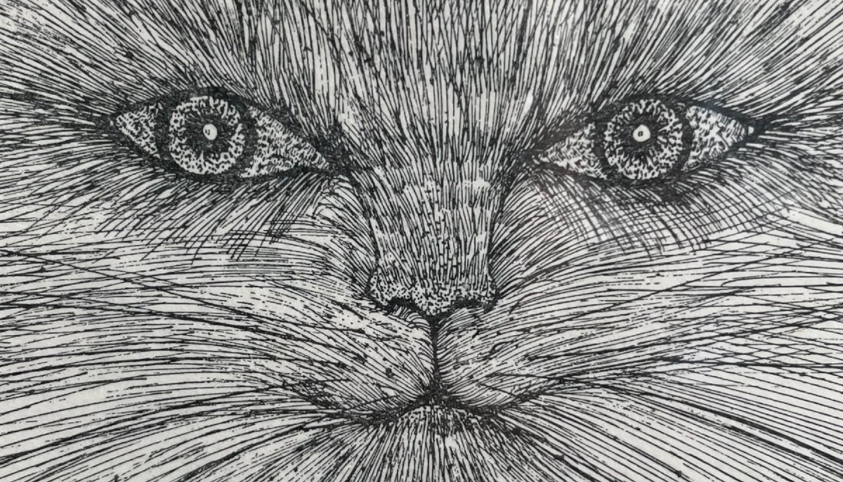 Chat encre sur papier Enrico COLOMBOTTO ROSSO-photo-6