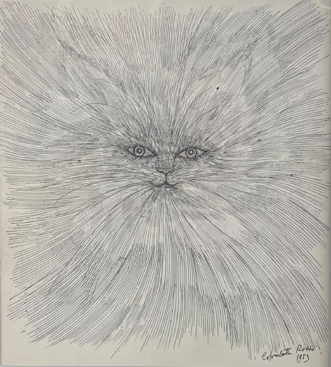 Chat encre sur papier Enrico COLOMBOTTO ROSSO