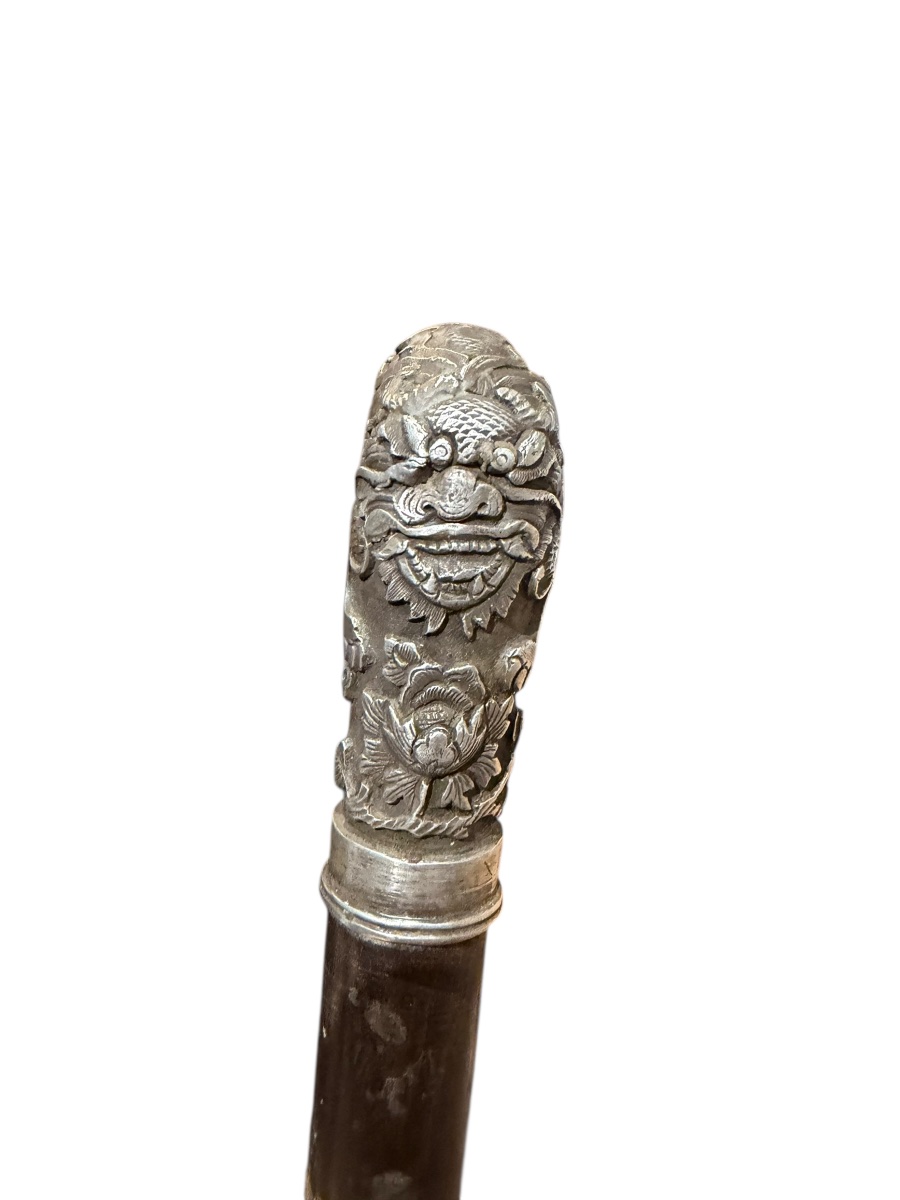 China Indochina Walking Stick With Silver Handle And Dragon Motif-photo-5