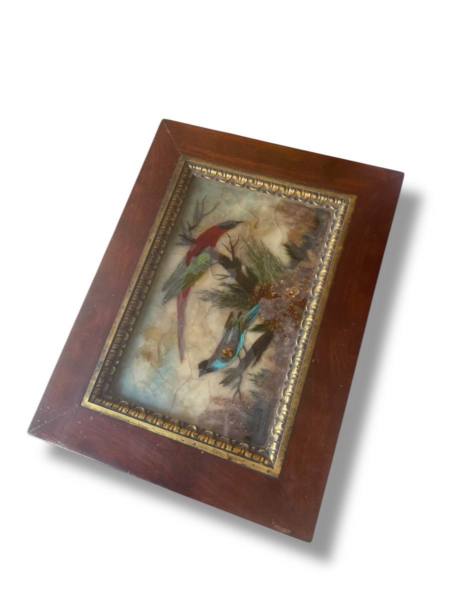 19th Century Bird And Feather Box-photo-2