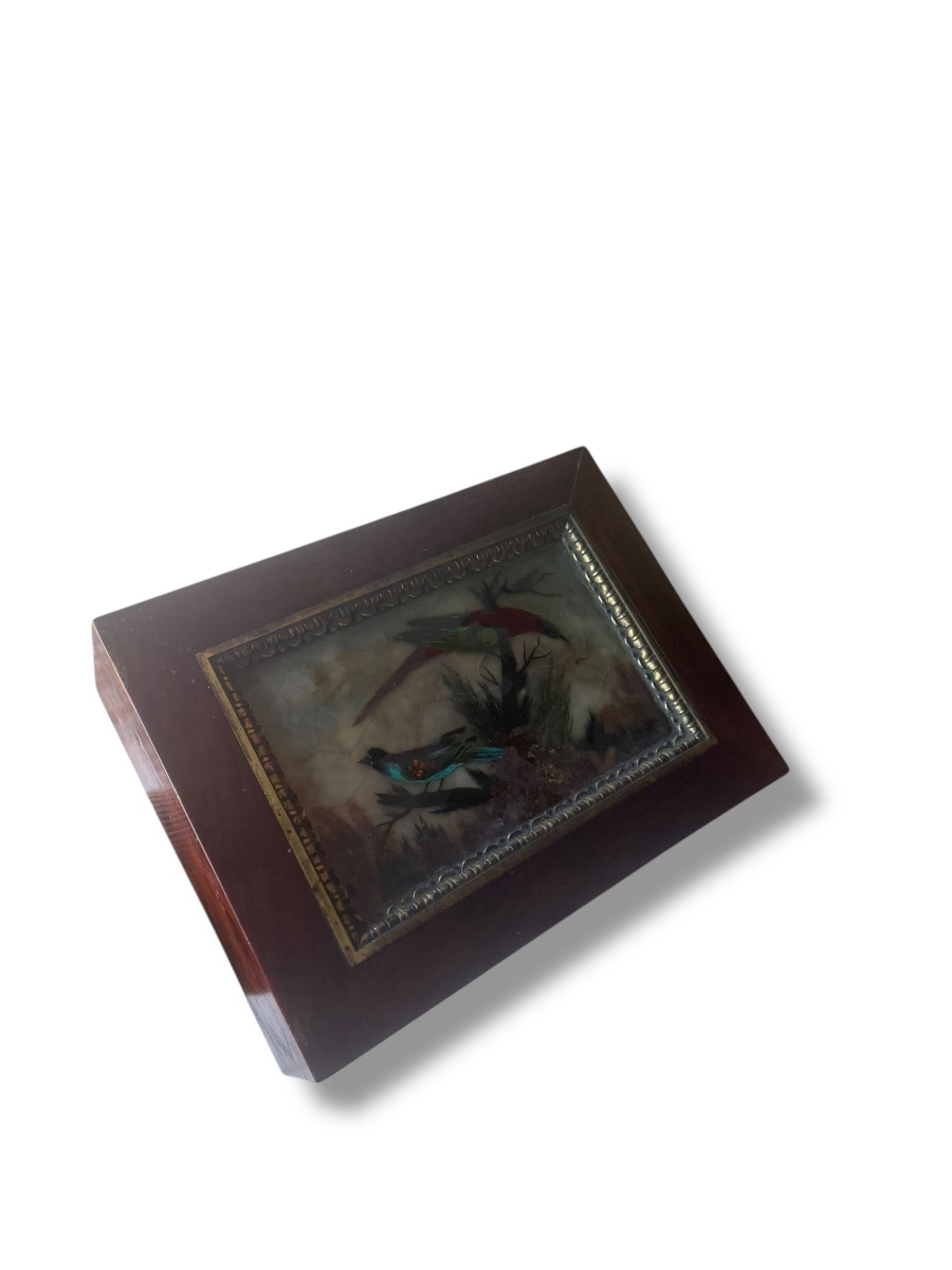 19th Century Bird And Feather Box-photo-2