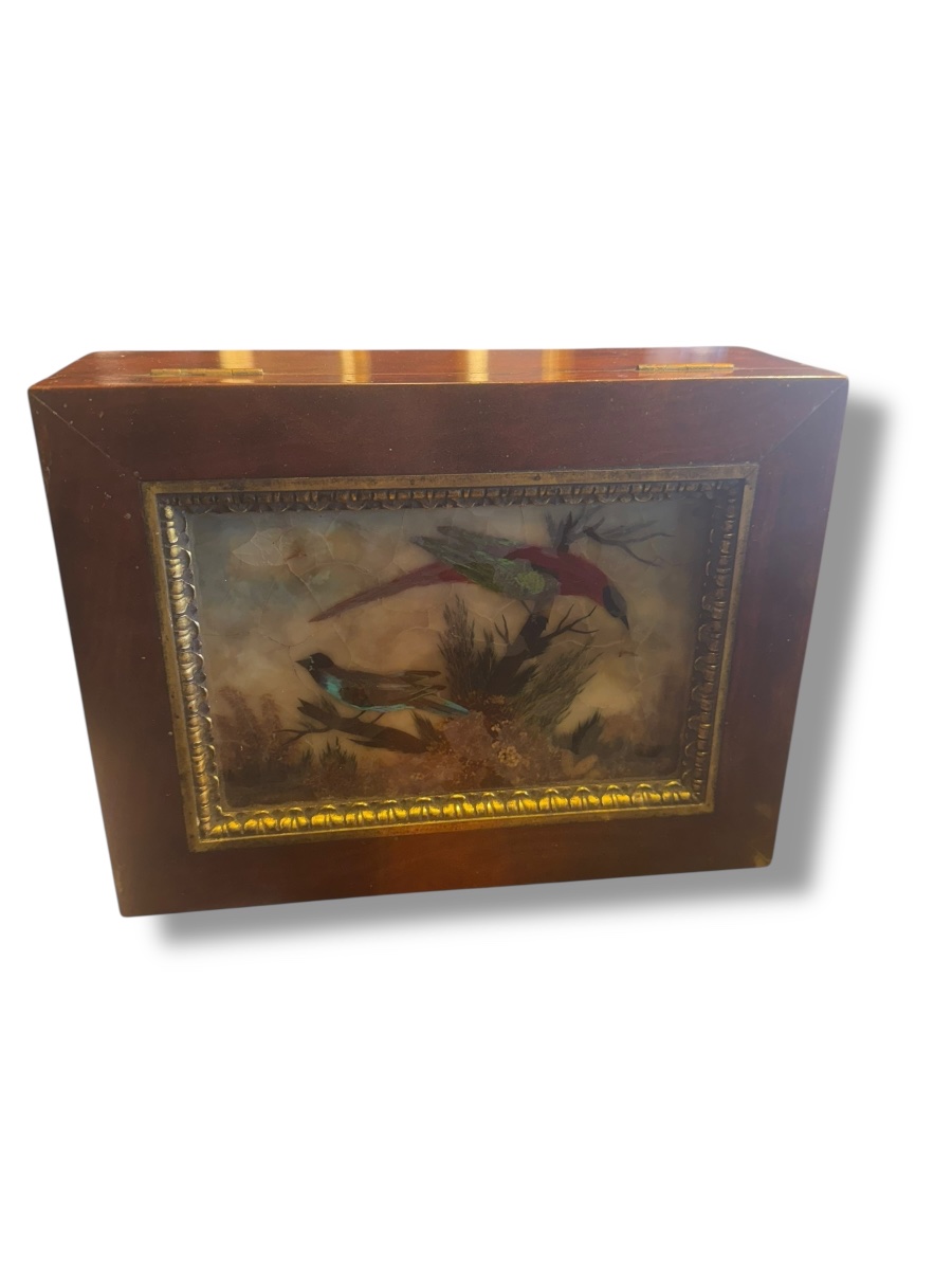 19th Century Bird And Feather Box-photo-3