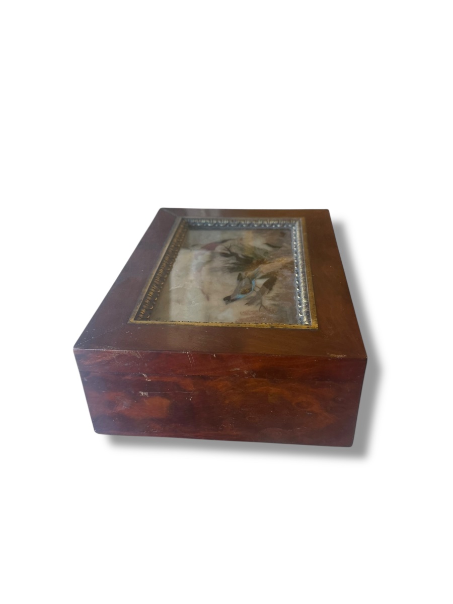 19th Century Bird And Feather Box-photo-6