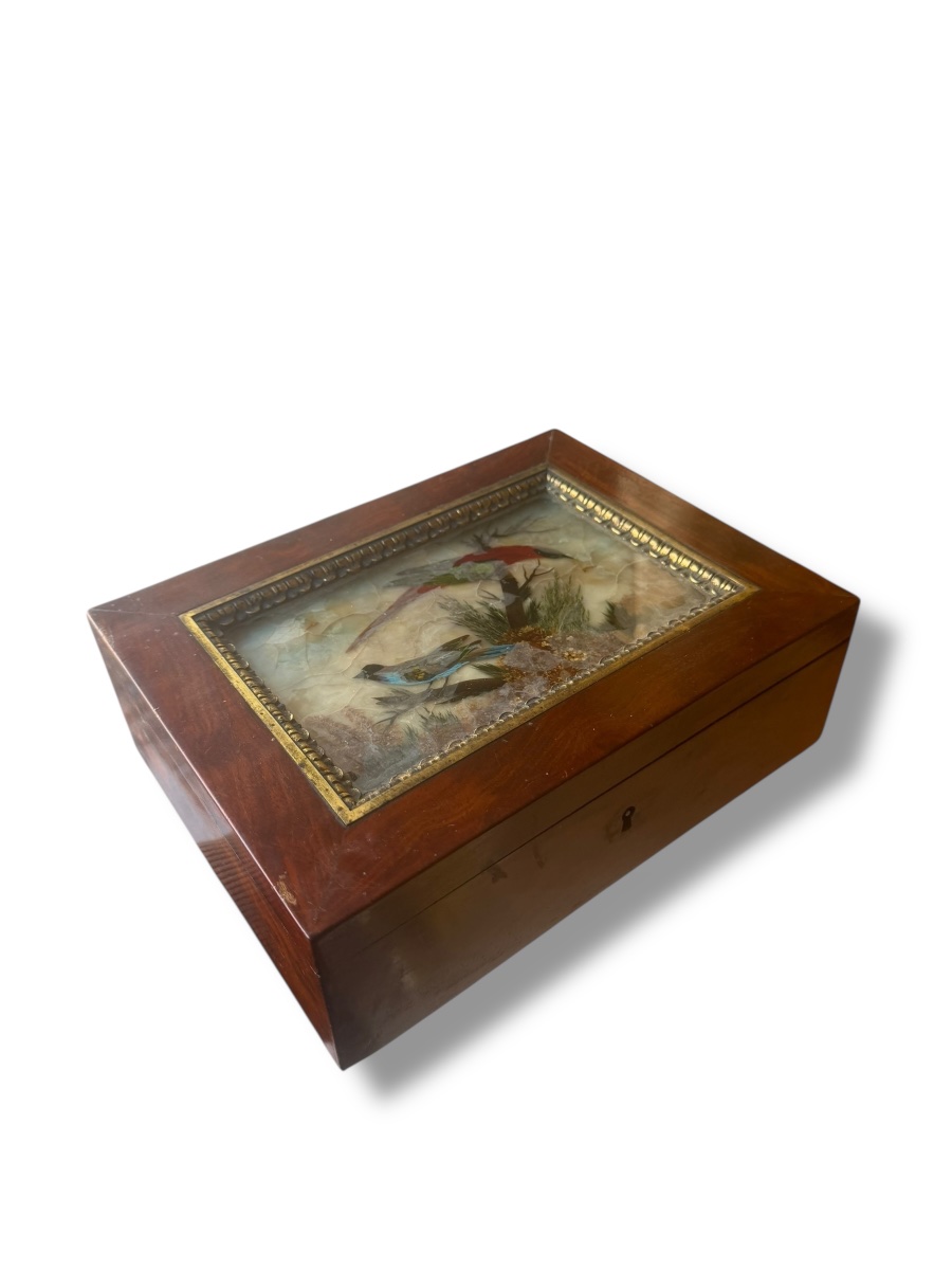 19th Century Bird And Feather Box-photo-7
