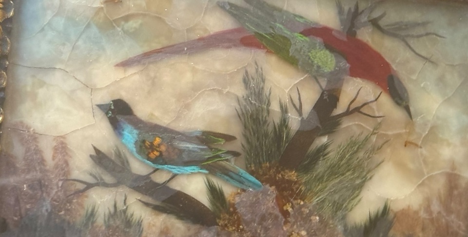 19th Century Bird And Feather Box-photo-8