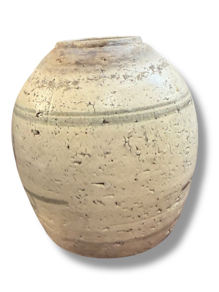 19th Century Chinese Glazed Stoneware Ginger Jar, Qing Dynasty-photo-1