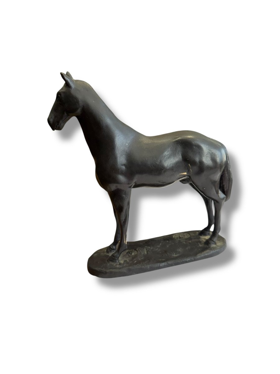Bronze Horse Subject-photo-3