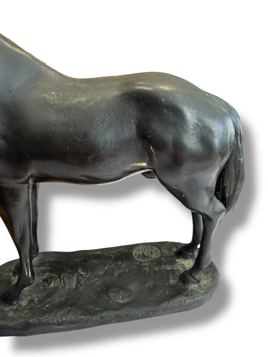 Bronze Horse Subject-photo-4