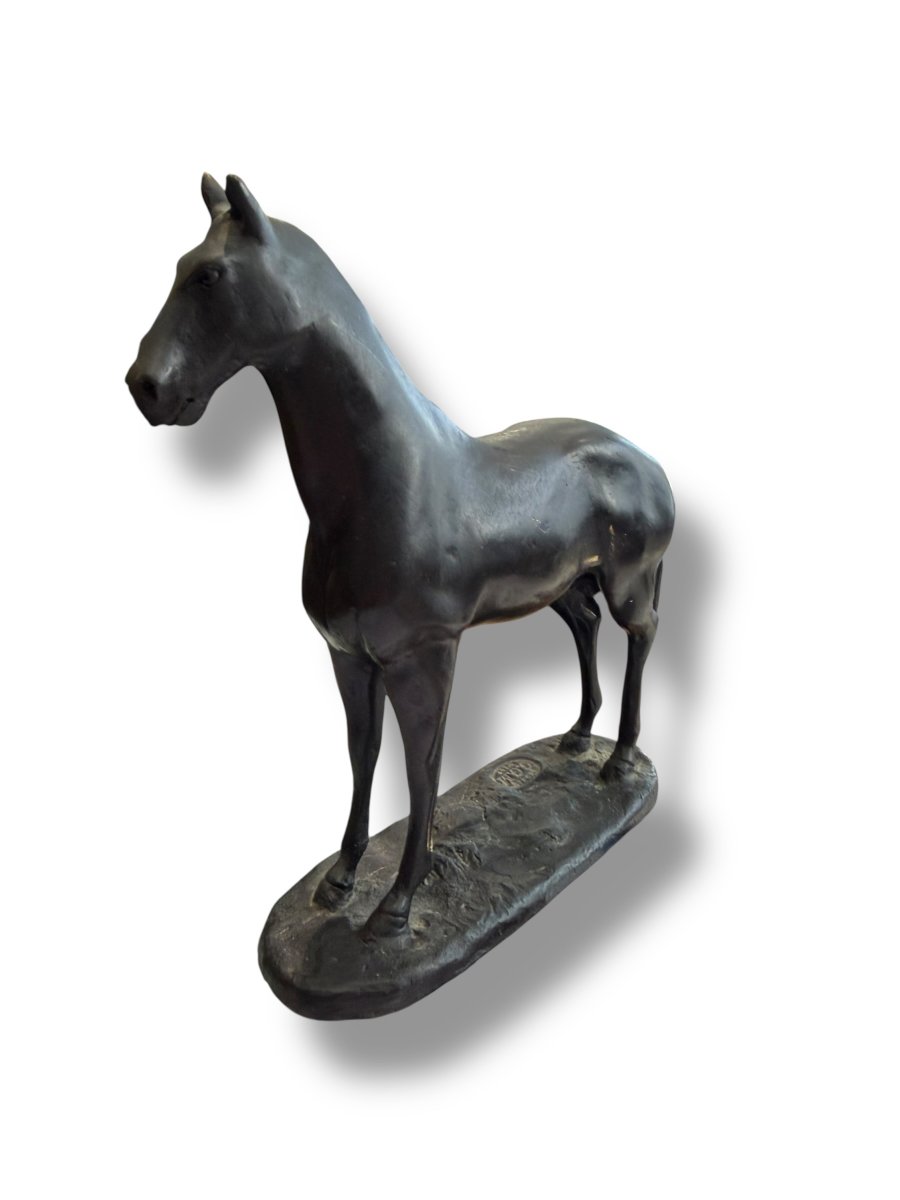 Bronze Horse Subject-photo-1