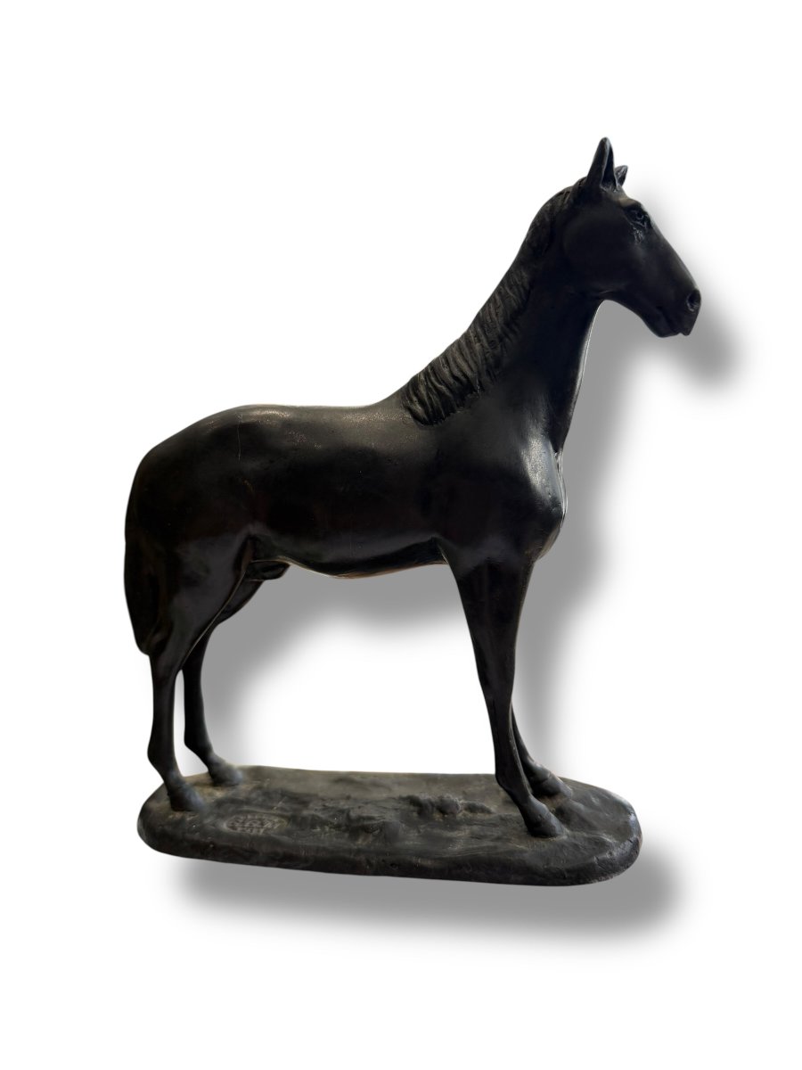Bronze Horse Subject-photo-3