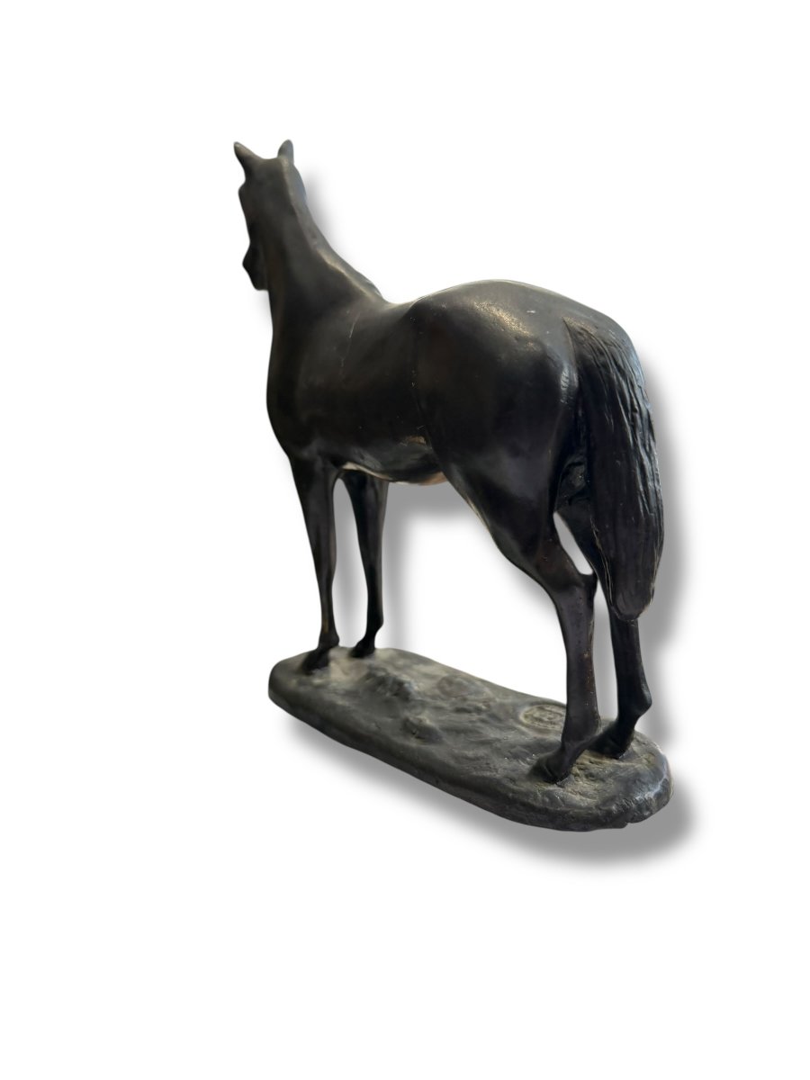 Bronze Horse Subject-photo-8