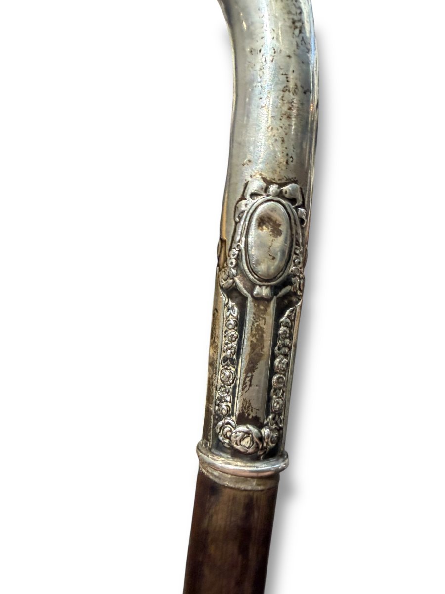 Canne pommeau en argent massif-photo-2