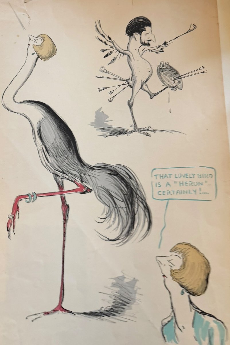 Georges Goursat dit Sem Lovely bird lithographie-photo-4