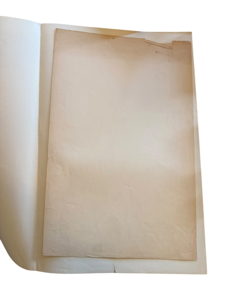  Georges Goursat Dit Sem Jenny Lithograph-photo-1