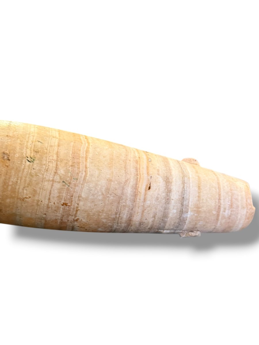 Large Alabastron With Two Tenons Ptolemanic Period-photo-2