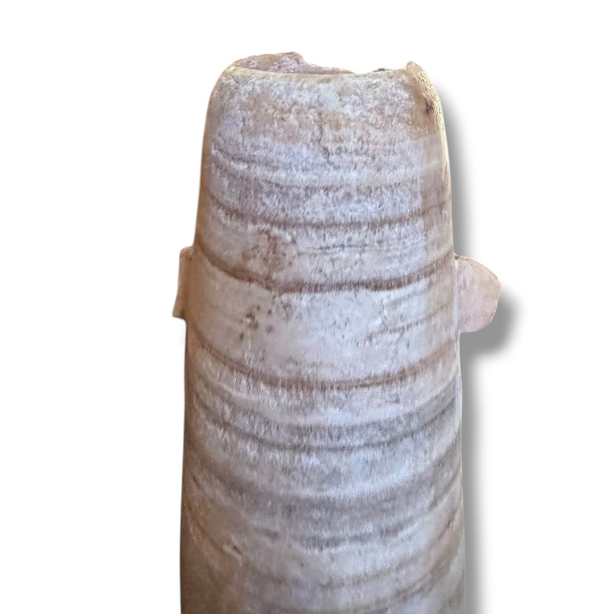 Large Alabastron With Two Tenons Ptolemanic Period-photo-2