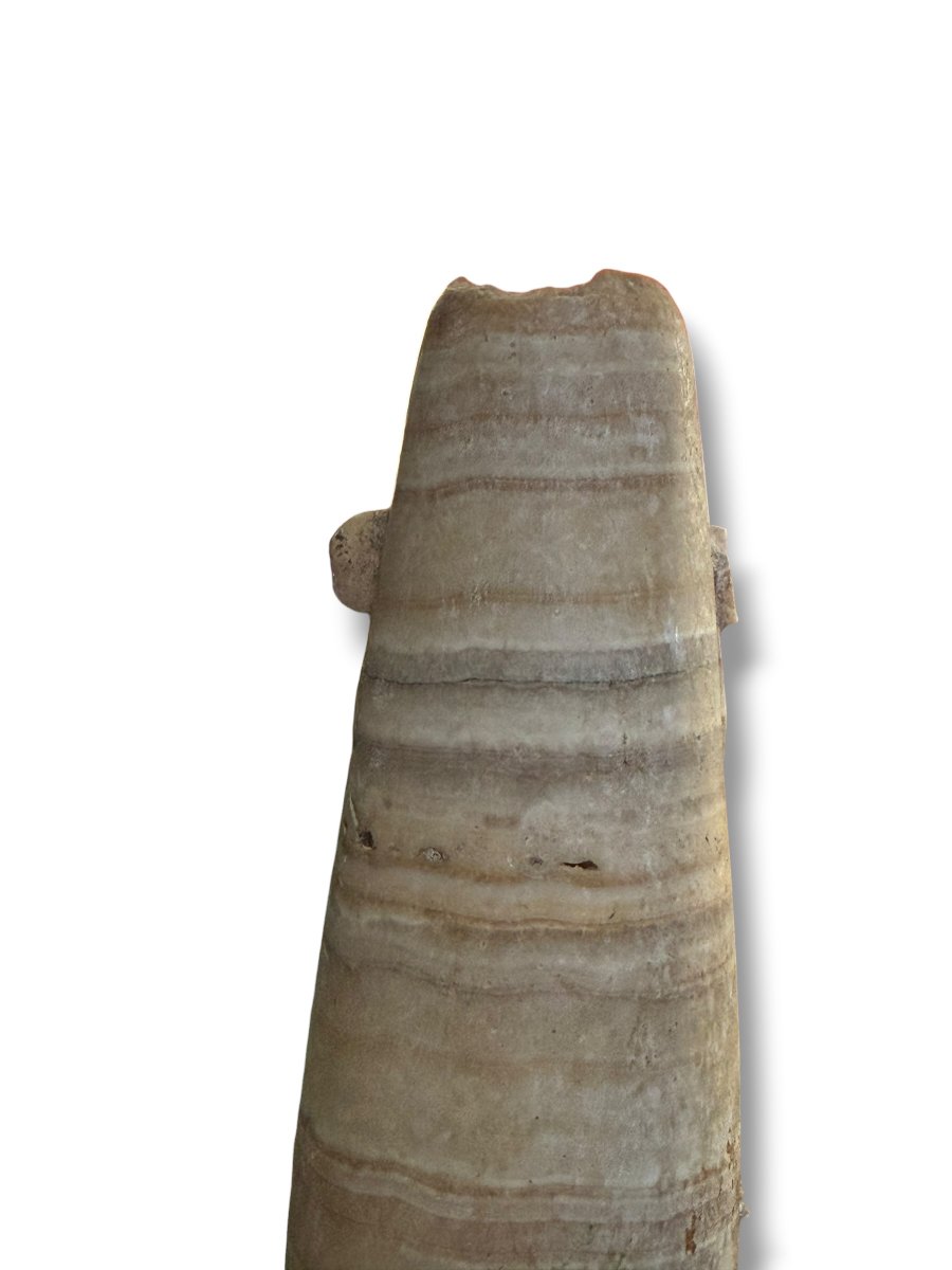 Large Alabastron With Two Tenons Ptolemanic Period-photo-4