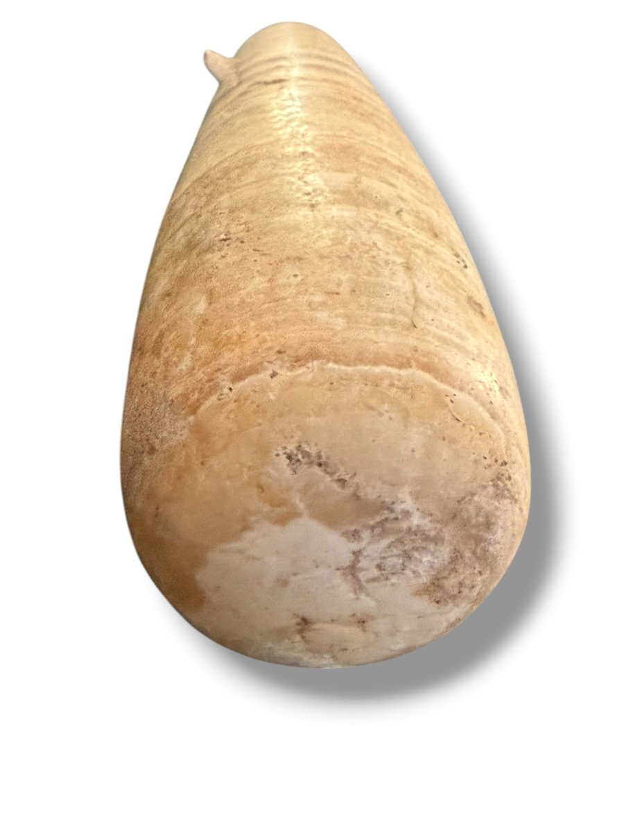 Large Alabastron With Two Tenons Ptolemanic Period-photo-5