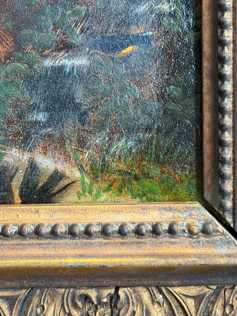 Jeune fille aux oiseaux huile sur panneau XIXeme-photo-2