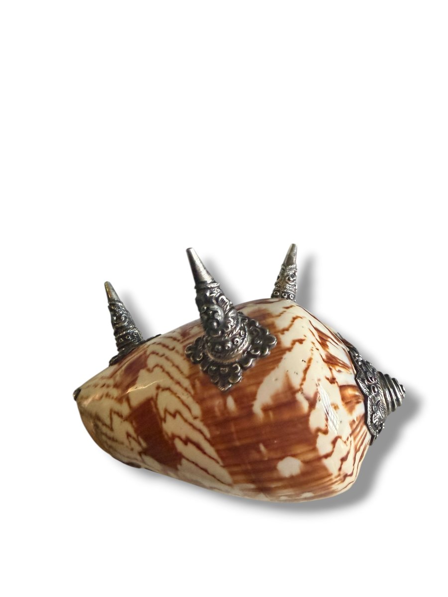 Baguier coquillage sertissage argent-photo-3