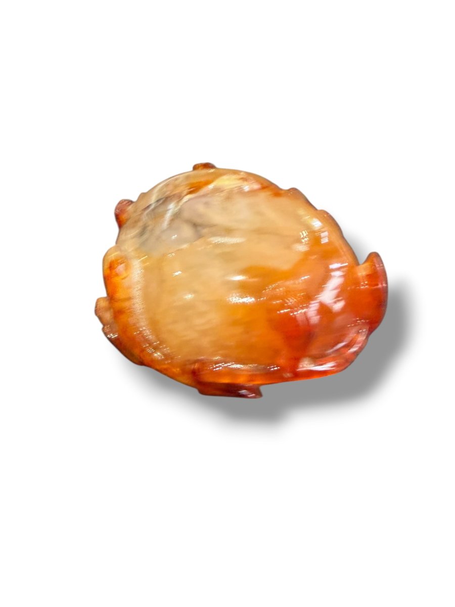 China Brush Rinse In Fire Agate-photo-7