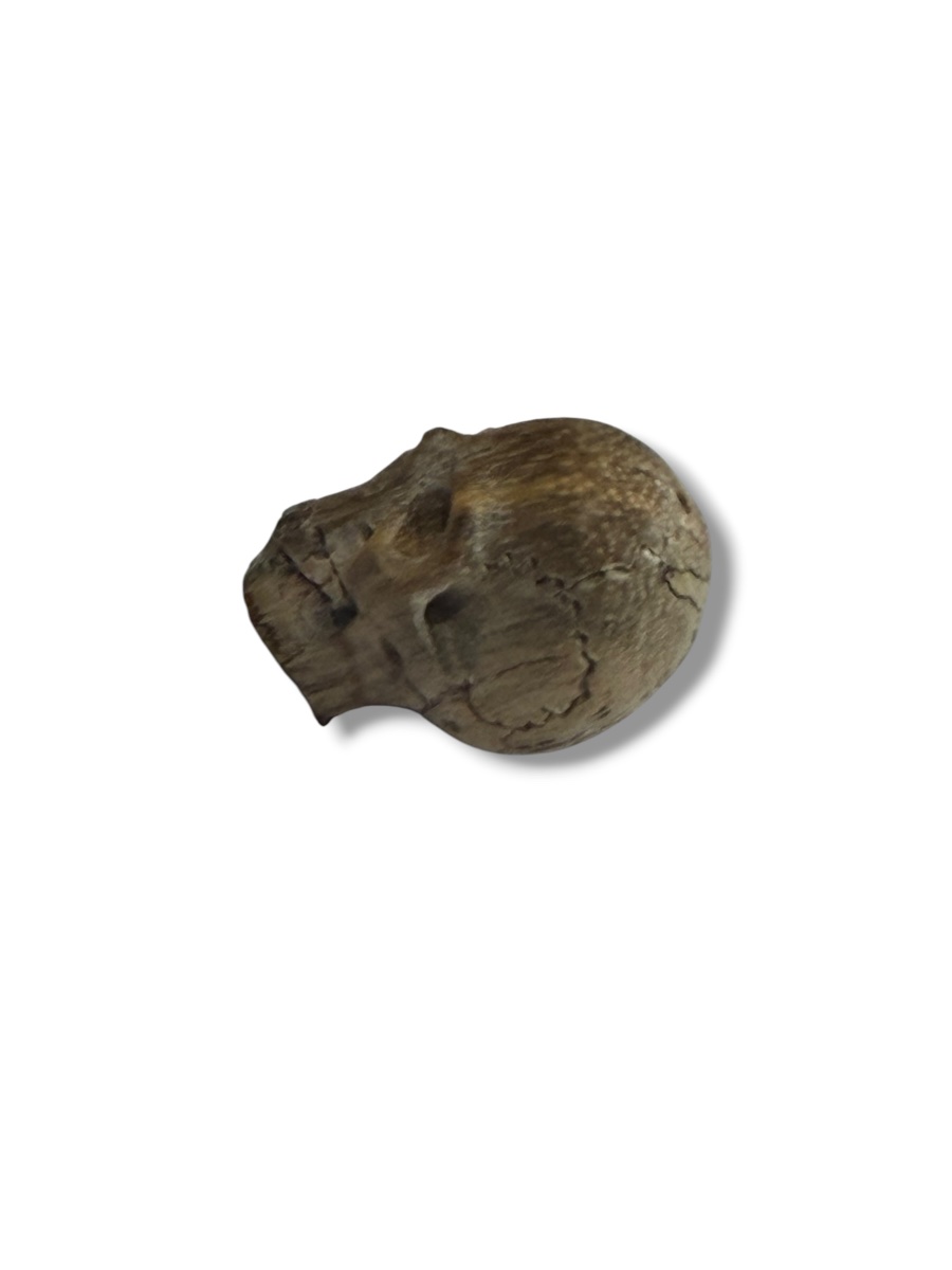 "memento Mori" Carved Wooden Skull Vanity-photo-2