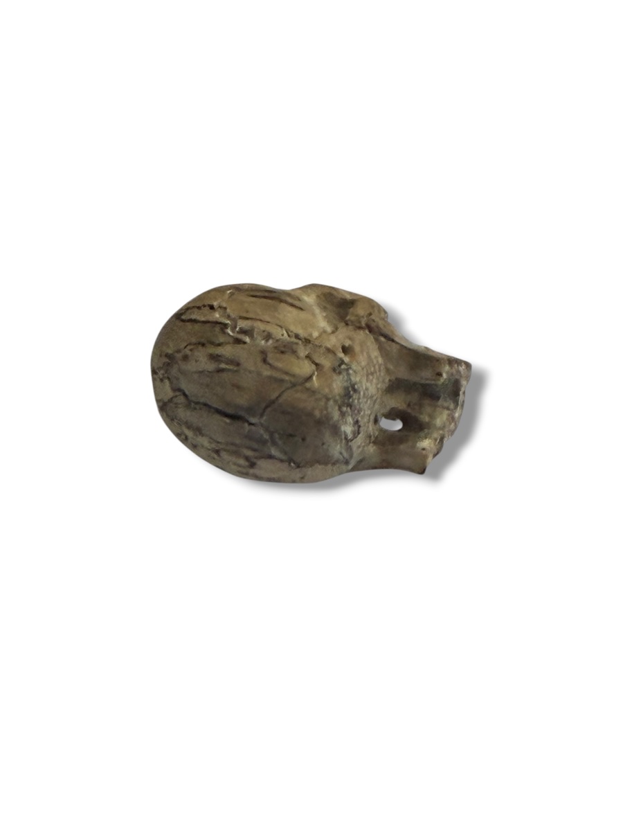 "memento Mori" Carved Wooden Skull Vanity-photo-4