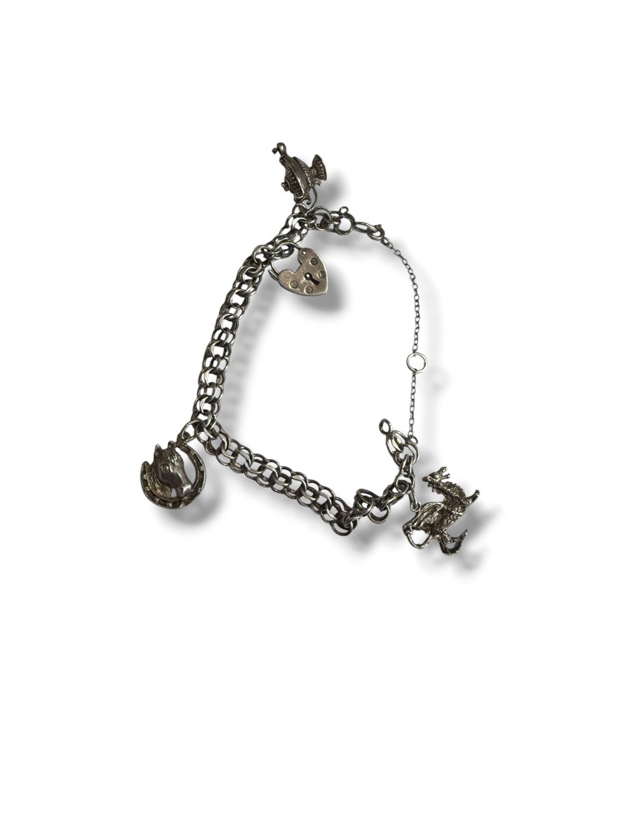 Bracelet Charms argent massif-photo-2