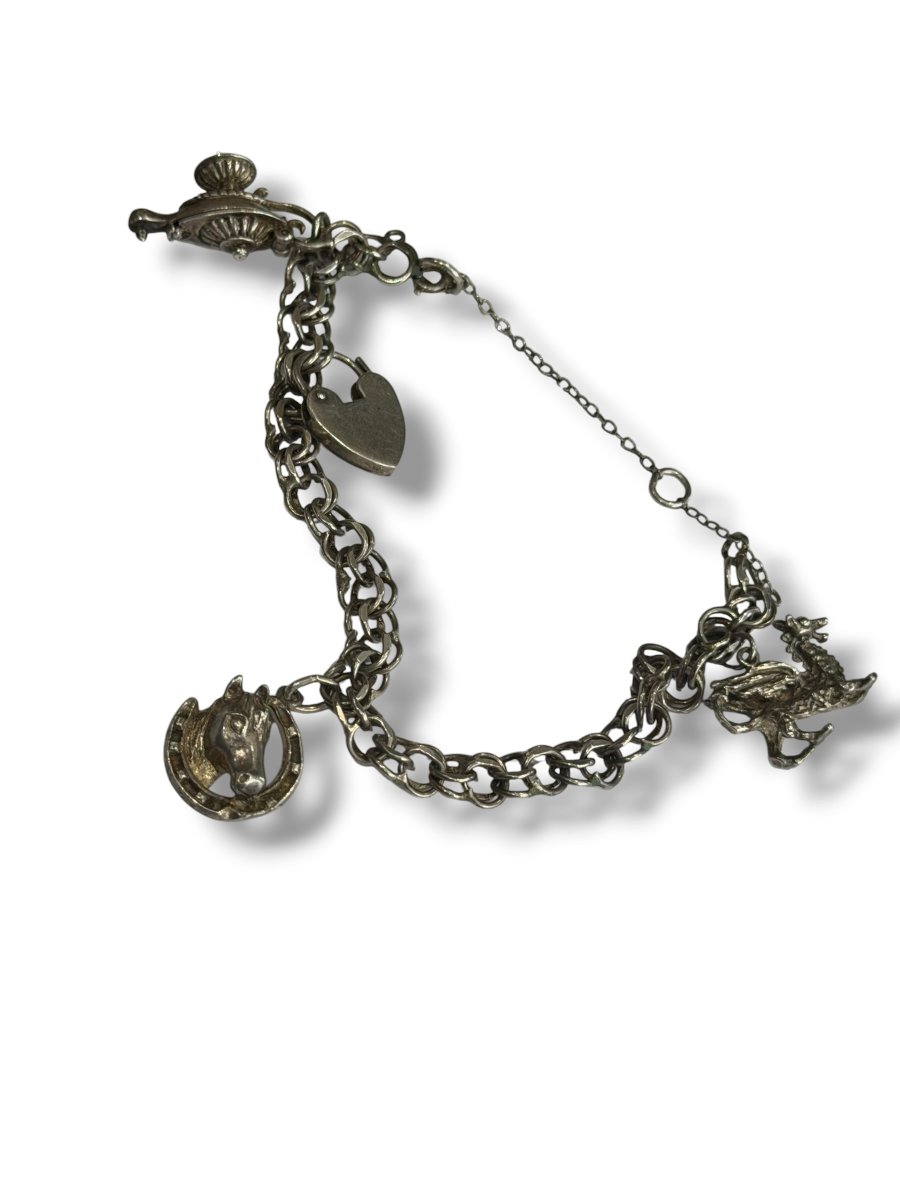 Bracelet Charms argent massif-photo-3