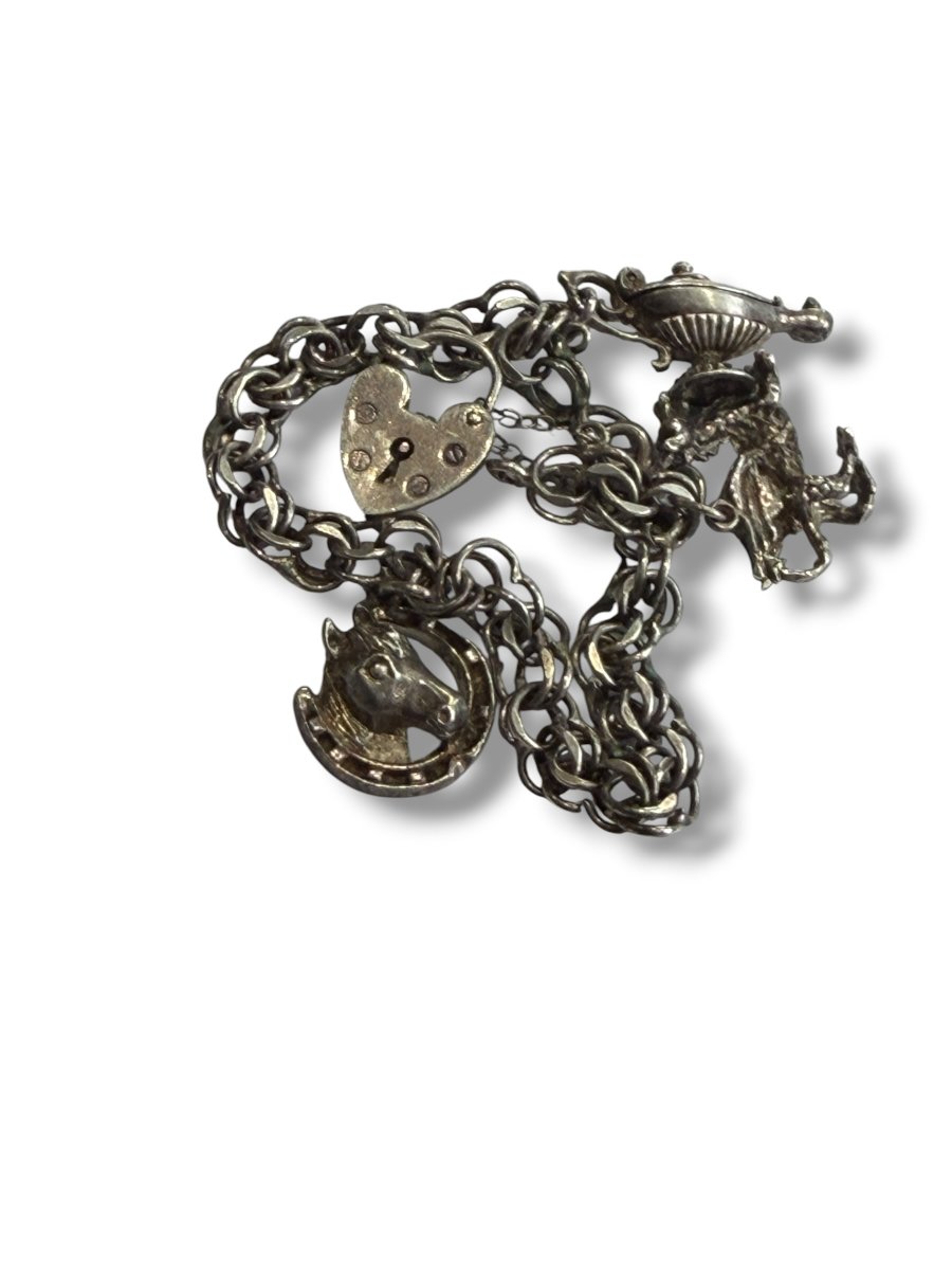 Bracelet Charms argent massif-photo-6