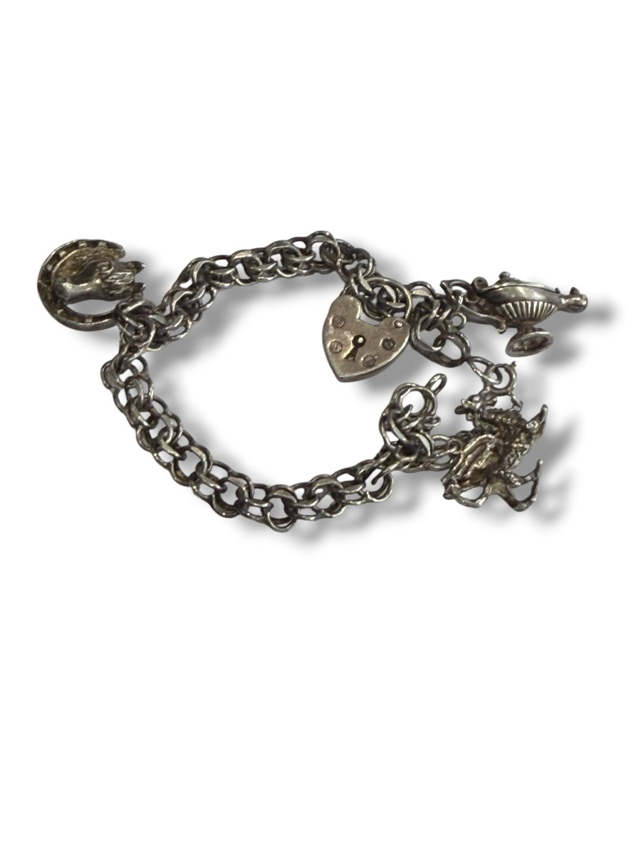 Bracelet Charms argent massif-photo-8