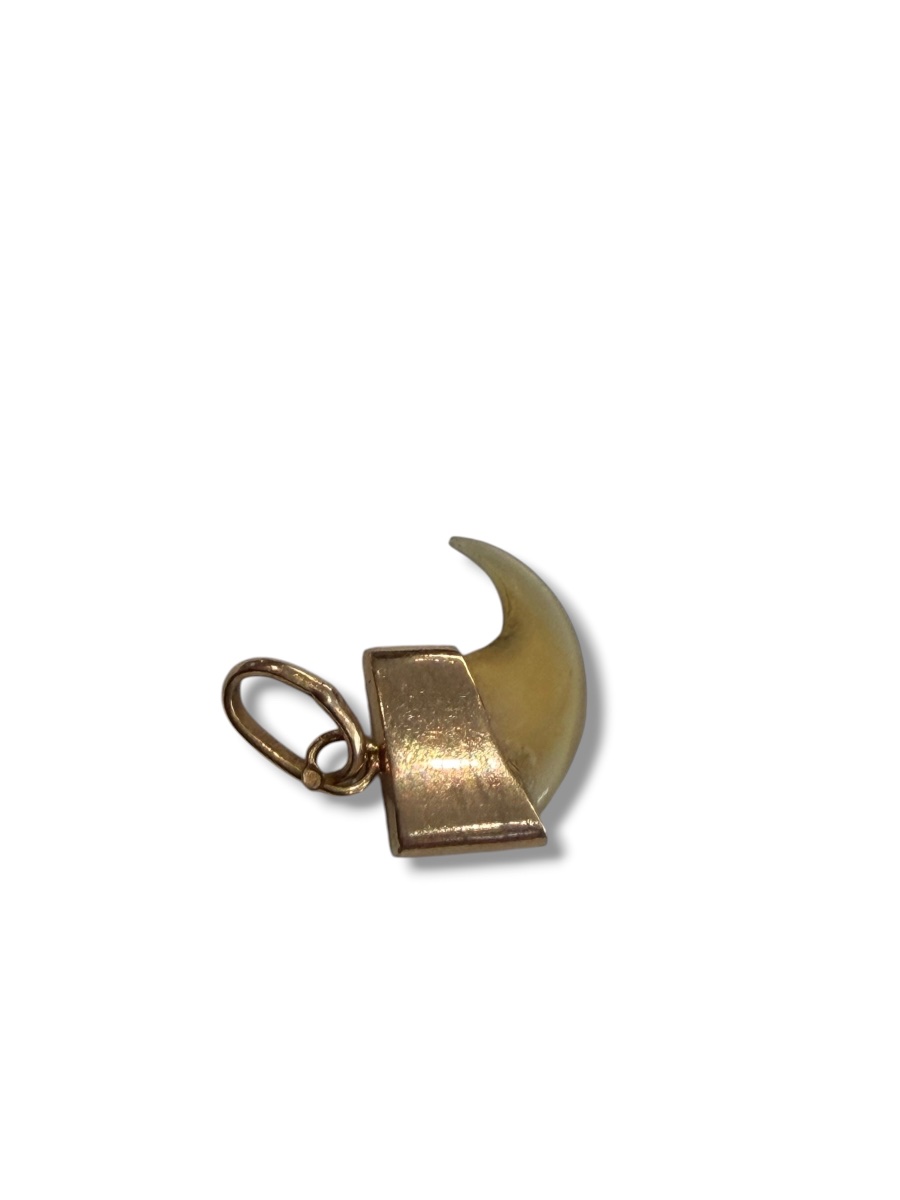 Pendentif en or griffe de tigre -photo-3
