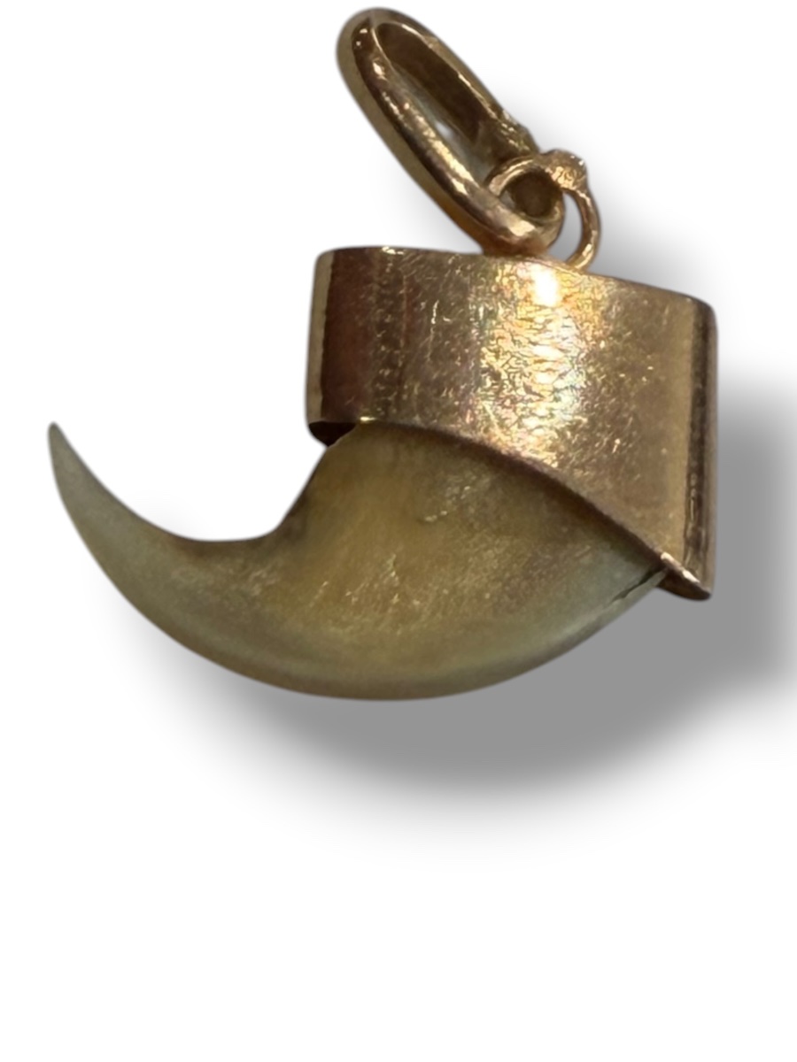 Pendentif en or griffe de tigre -photo-4