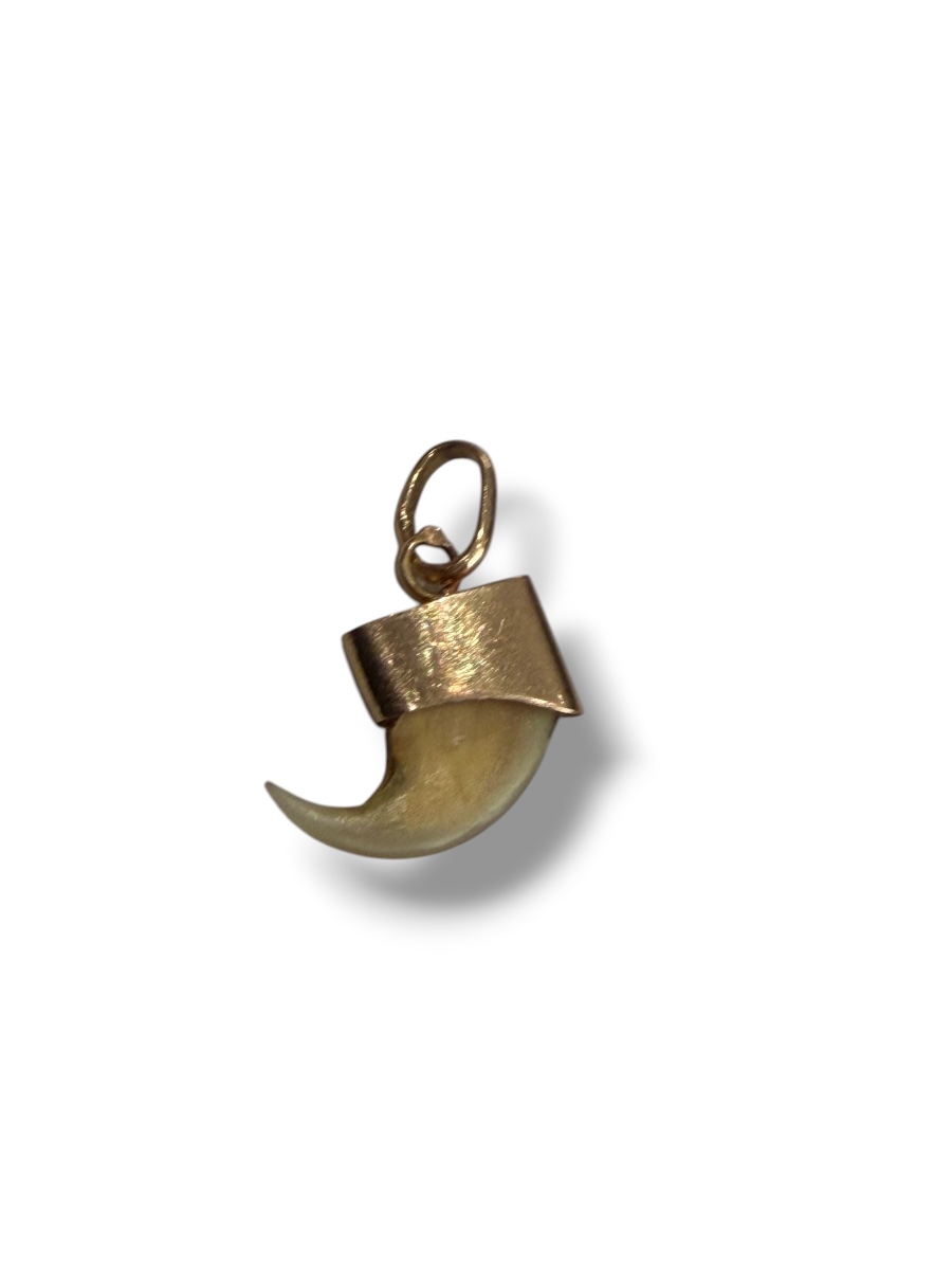 Pendentif en or griffe de tigre -photo-1