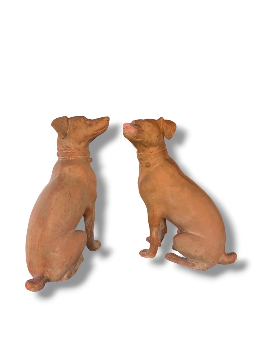 Pair Of Large Decorative Terracotta Dogs-photo-3