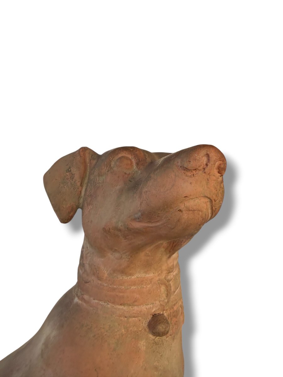 Pair Of Large Decorative Terracotta Dogs-photo-4