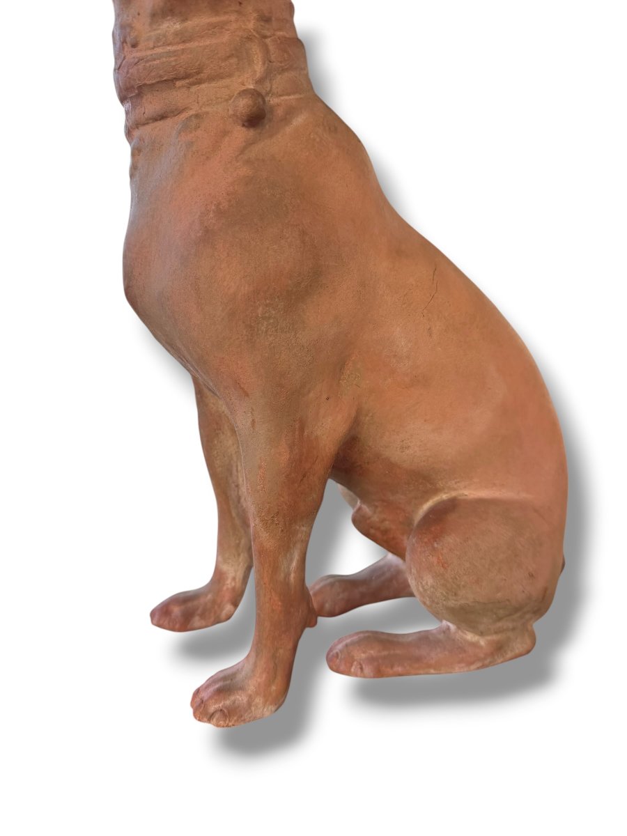 Pair Of Large Decorative Terracotta Dogs-photo-1
