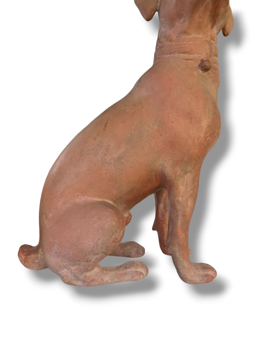 Pair Of Large Decorative Terracotta Dogs-photo-2